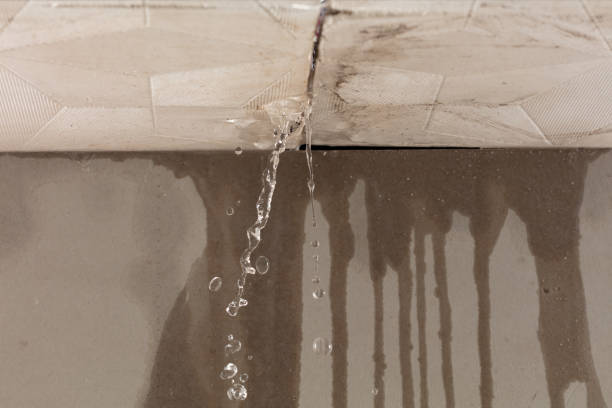 Professional Flood Damage Cleanup technician working in Colon, NE